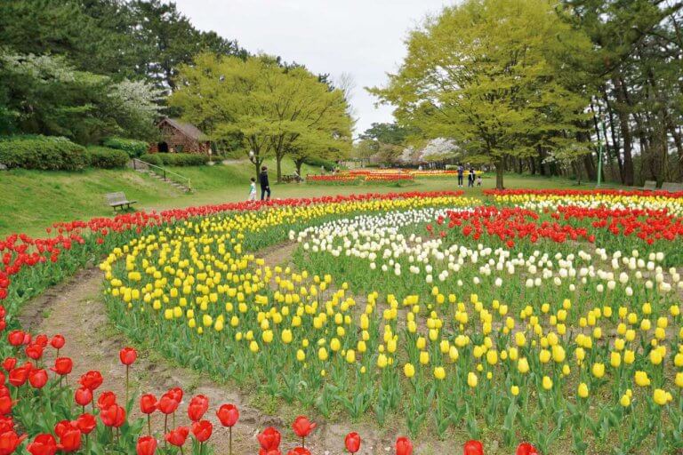 春から初夏の花めぐり。新潟のおすすめ花スポット25選の画像6