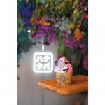 NEST meike shinmei�i�l�X�g ���C�P �V�����C�j�^���r�ɐV�����h�}�[�N���a���@�J�k�����X�E�W�F���[�g�X�E�R�[�q�[�X�^���h�𕹐݂̉摜3