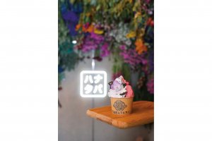 NEST meike shinmei�i�l�X�g ���C�P �V�����C�j�^���r�ɐV�����h�}�[�N���a���@�J�k�����X�E�W�F���[�g�X�E�R�[�q�[�X�^���h�𕹐݂̉摜3