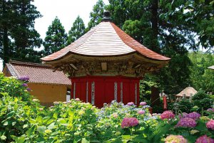 2025�b�V���̃A�W�T�C����8�I �������̉摜13