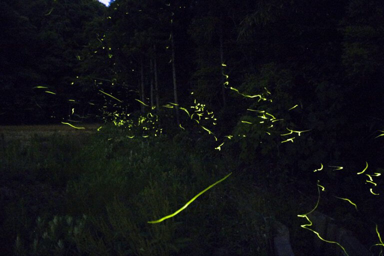 2024bṼz^Ϗ܃X|bg16Ỉ摜10