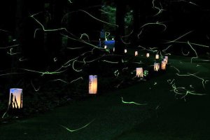 2025�b�V���̃z�^���Ϗ܃X�|�b�g16�I�̉摜3