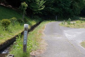 2025�b�V���̃z�^���Ϗ܃X�|�b�g16�I�̉摜6