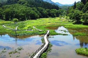 2025�b�V���̃z�^���Ϗ܃X�|�b�g16�I�̉摜9