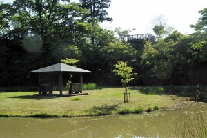 2025�b�V���̃z�^���Ϗ܃X�|�b�g16�I�̉摜12