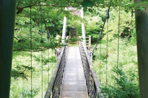 2025�b�V���̃z�^���Ϗ܃X�|�b�g16�I�̉摜13