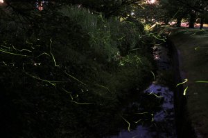 2025�b�V���̃z�^���Ϗ܃X�|�b�g16�I�̉摜4