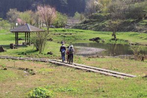 2025�b�V���̃z�^���Ϗ܃X�|�b�g16�I�̉摜16