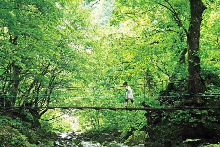 夏におすすめ!新潟の避暑地・ひんやりお出かけスポット14選 自然豊かな名所&穴場 夏におすすめ!新潟の避暑地・ひんやりお出かけスポット14選 自然豊かな名所&穴場