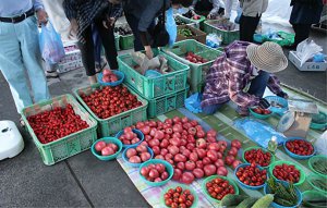 y2021zV ẴCxgW ċx ̂oɁAvo ǉ̉摜29