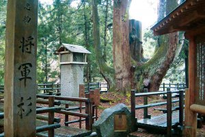 �Ăɂ������߁I�V���E�����������X�|�b�g18�I ����������̉摜7