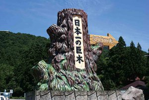 �Ăɂ������߁I�V���E�����������X�|�b�g18�I ����������̉摜8