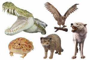 y2021zV ẴCxgW ċx ̂oɁAvo ǉ̉摜41