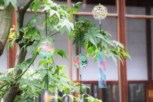 y2021zV ẴCxgW ċx ̂oɁAvo ǉ̉摜43