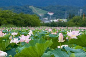 y2021zV ẴCxgW ċx ̂oɁAvo ǉ̉摜66