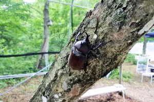 y2021zV ẴCxgW ċx ̂oɁAvo ǉ̉摜59