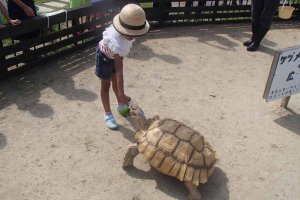 y2021zV ẴCxgW ċx ̂oɁAvo ǉ̉摜60