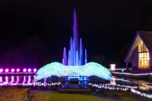 y2021zV ẴCxgW ċx ̂oɁAvo ǉ̉摜68