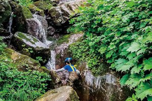 y2021zV ẴCxgW ċx ̂oɁAvo ǉ̉摜69