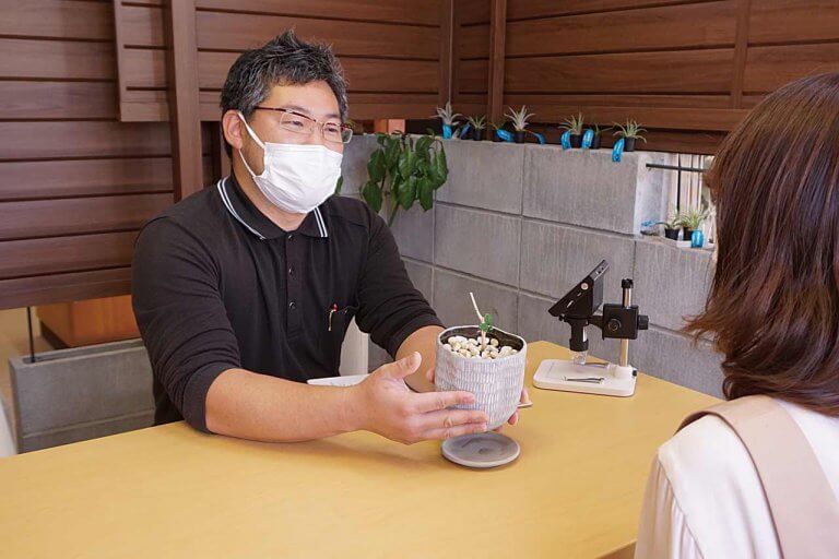 観葉植物専門のお医者さん「LL.K.植物診療SHOP」新潟市西区にオープン　相談無料で弱った植物をプロが再生