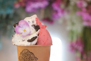 y2021NŁz̉ĐHׂIV̂WF[g12ĨC摜