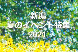 21 新潟 夏のイベント特集 夏休み 県内のお出かけに 思い出作りに 随時追加 街ニュース 新潟の街ニュース ローカル情報 Komachi Web こまちウェブ