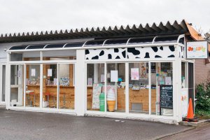 y2021NŁz̉ĐHׂIV̂WF[g12Ỉ摜12