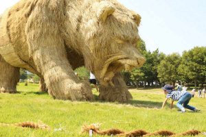 y2021zV ẴCxgW ċx ̂oɁAvo ǉ̉摜2