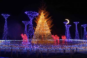 y2021zV ẴCxgW ċx ̂oɁAvo ǉ̉摜31