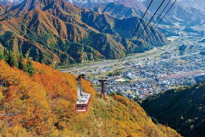 2025�b�V���̐�i�g�t�X�|�b�g ����30�I�̉摜27