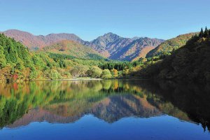 2025�b�V���̐�i�g�t�X�|�b�g ����30�I�̉摜28