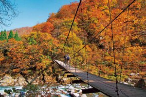 2025�b�V���̐�i�g�t�X�|�b�g ����30�I�̉摜33