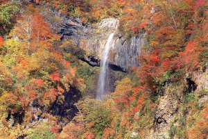 2025�b�V���̐�i�g�t�X�|�b�g ����30�I�̉摜37