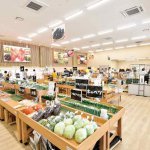 新発田市に大型直売所がオープン「こったま〜や」新発田＆聖籠の産直品を販売　アイディア豊富な野菜ソムリエも常住の画像2