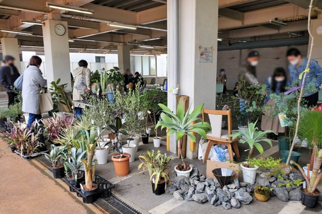 植 と 食 の一大イベント 植物天国 In 白山市場 開催 1 000鉢の観葉植物と多彩なフードを販売 街ニュース 新潟の街ニュース ローカル情報 Komachi Web こまちウェブ