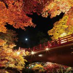 【2021年版】新潟の紅葉ライトアップ 名所8選　弥彦、北方文化博物館、もみじ園、松雲山荘…、夜ならではの風情を楽しもうの画像4