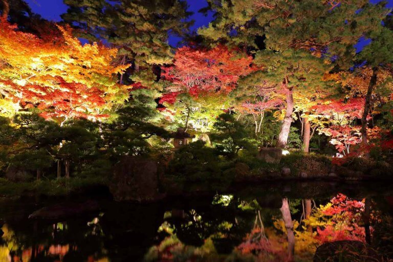 【2021年版】新潟の紅葉ライトアップ 名所8選　弥彦、北方文化博物館、もみじ園、松雲山荘…、夜ならではの風情を楽しもうの画像2