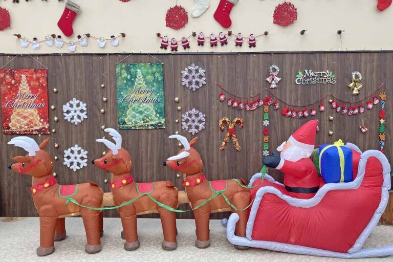 開催は26日(日)まで！色鮮やかな植物と装飾で冬も華やか！新潟県立植物園「クリスマス展」へ行ってきましたの画像3