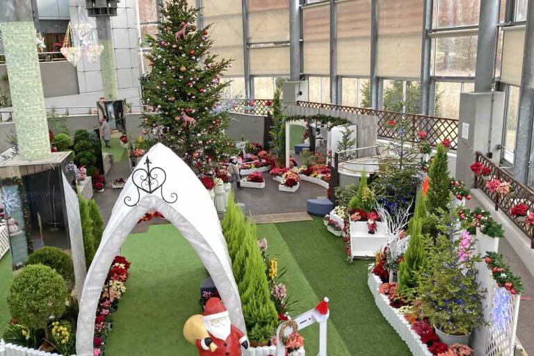 開催は26日(日)まで！色鮮やかな植物と装飾で冬も華やか！新潟県立植物園「クリスマス展」へ行ってきましたの画像11