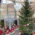 開催は26日(日)まで！色鮮やかな植物と装飾で冬も華やか！新潟県立植物園「クリスマス展」へ行ってきましたの画像6