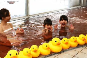 �o�����^�C���ɍ��킹�P��́u�`���R���[�g���C�v �V���s�H�t��̓��A�艷��u�Ԃ̓��فv��2/12(�y)����̃��C���摜