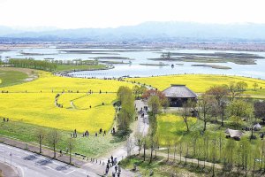 2025�b�V���́u�؂̉Ԕ��v����4�I �������̉摜2