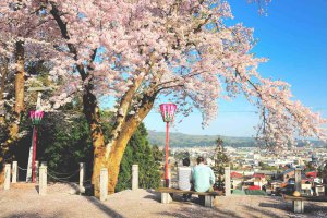 2025bV̂ԌEX|bg50I@Cxg̉摜37