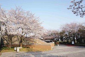 2025bVEzGA lC̍EԌX|bg ԁ 41Ỉ摜5