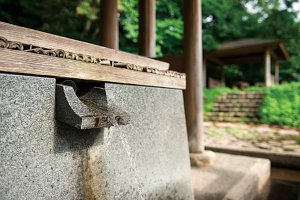 ���ł����ɗ�����肽�� �V���̋����̖��X15�I�̉摜16