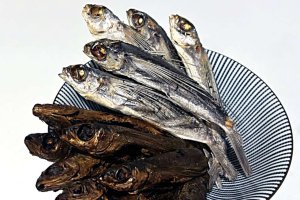 �_�V�ɂ���������Ӑg�̈�t�I���ܒ��ڂ́u�����������[�����v6�I�̉摜35