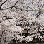 2025�b�V���̂��Ԍ��E���X�|�b�g50�I�@�������C�x���g�����̉摜47