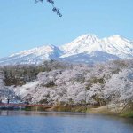 2025�b�V���̂��Ԍ��E���X�|�b�g50�I�@�������C�x���g�����̉摜46