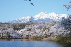 2025bV̂ԌEX|bg50I@Cxg̉摜46