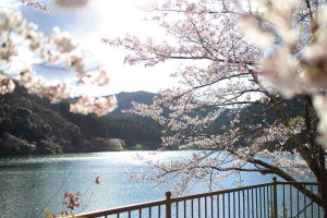 2025bVEzGA lC̍EԌX|bg ԁ 41Ỉ摜40